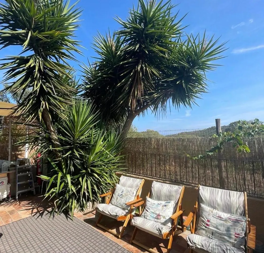 Apartmán Yucca Olbia